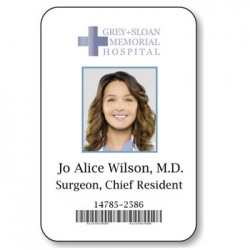 Jo Alice Wilson Badge halloween costumeEEN COSTUME Greys Anatomy BADGE HALLOWEEN Costume Accessory